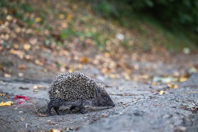 但也反应了 但也反应了