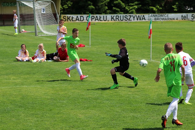 冰雪文化 冰雪文化