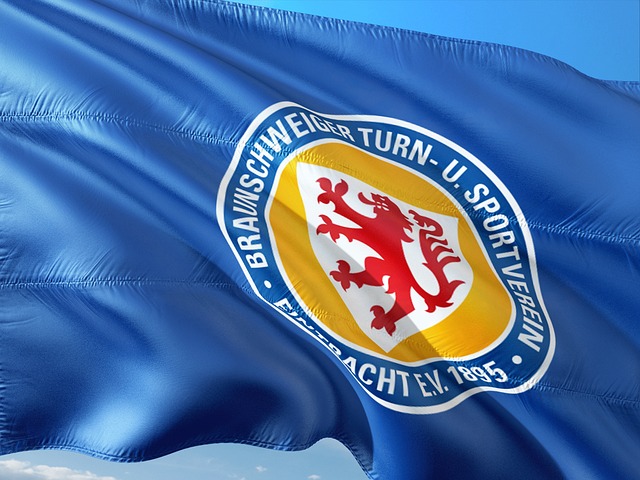 質偏向友誼 質偏向友誼